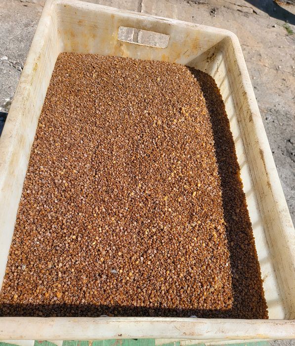 Klej kostny - perełka