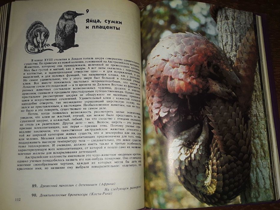 Дэвид Эттенборо "Жизнь на Земле"