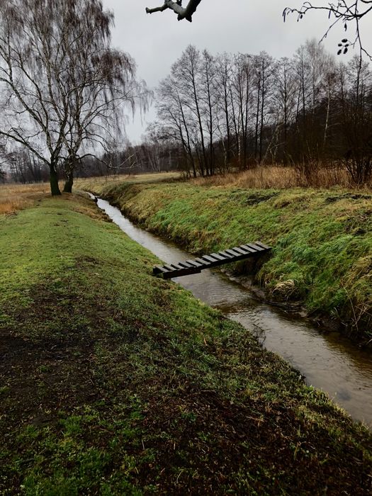 Działka z wydanym pozwoleniem na budowę 2000m2