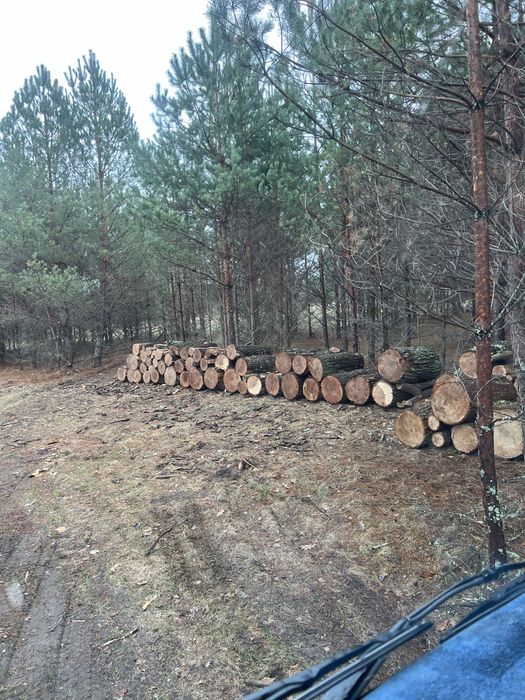 Дрова сухі рубані