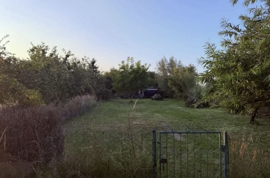 Sprzedam dzialke ROD Głuchotazy - Pionierów II - Widok 2