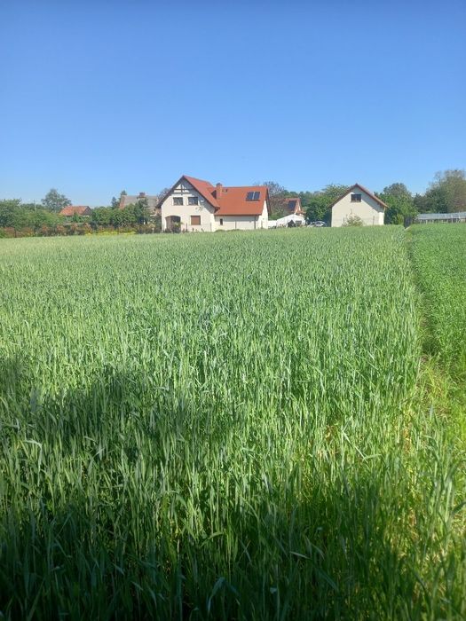Sprzedam działkę budowlaną w Pyszącej