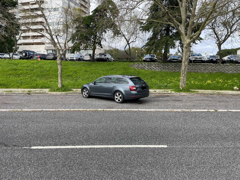 Skoda Octavia Break 1.6 TDi Style 115cv