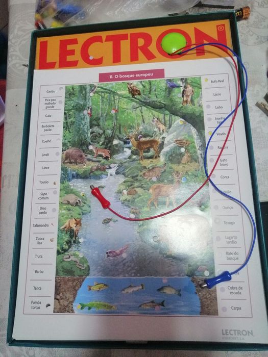 Jogo Lectron Animais do Mundo