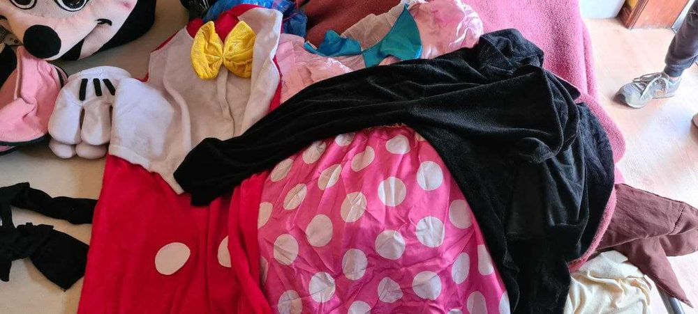 Alugo mascotes ratinho e ratinha para festas