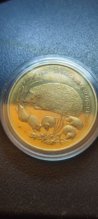 Moneta kolekcjonerska 2 zł  JEŻ Erinaceus europaeus kapsel
