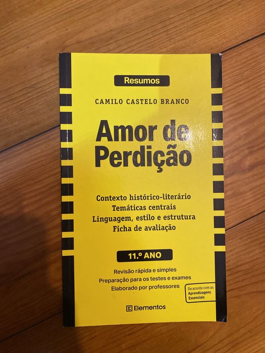 Amor de Perdição Resumos