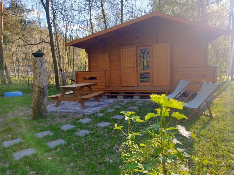 Domek Boszkowo Letnisko do wynajęcia / nocleg