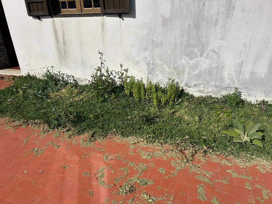 Serviços de Jardinagem e Limpeza de Terrenos