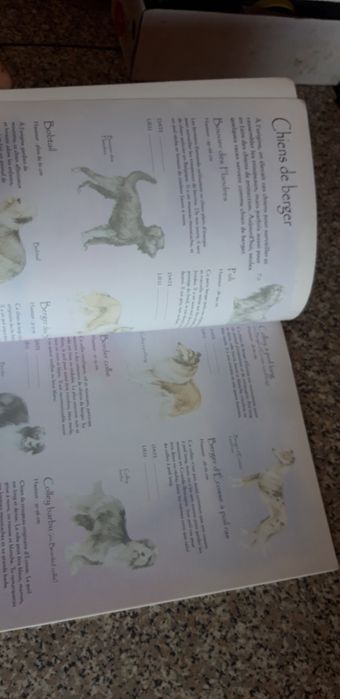 Livro Caderneta Les Chiens