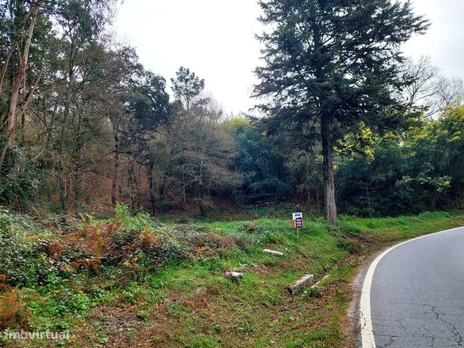 Terreno - Geraz do Minho