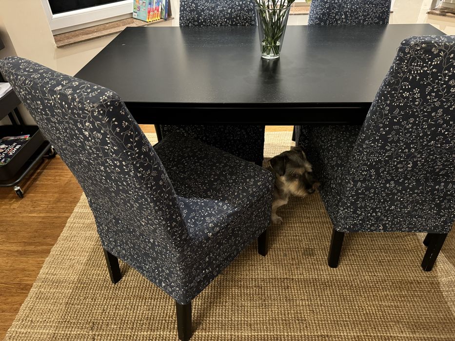 Stół Ikea Ingatorp