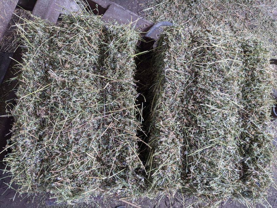 Продаю тюки люцерни