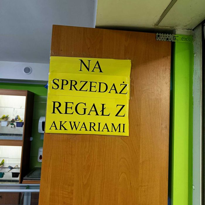Regał z akwariami