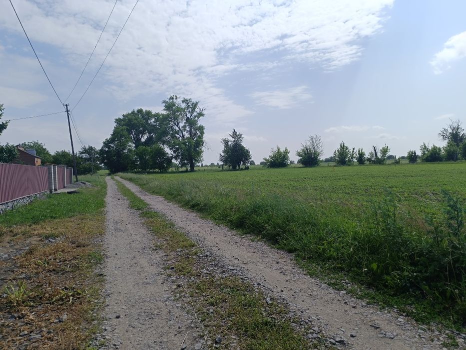 Продається гарна рівна ділянка в Гавришівці