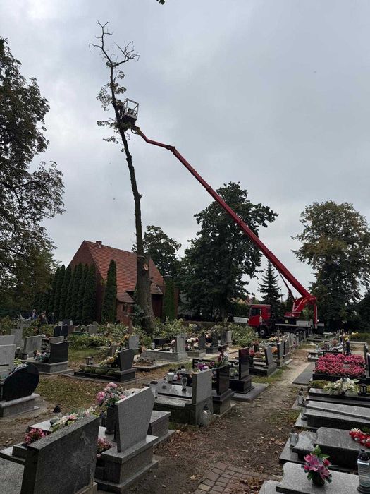 Przycinka drzew, Wycinka drzew, Rębak, Podnośniki koszowe