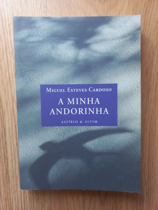"A Minha Andorinha", Miguel Esteves Cardoso
