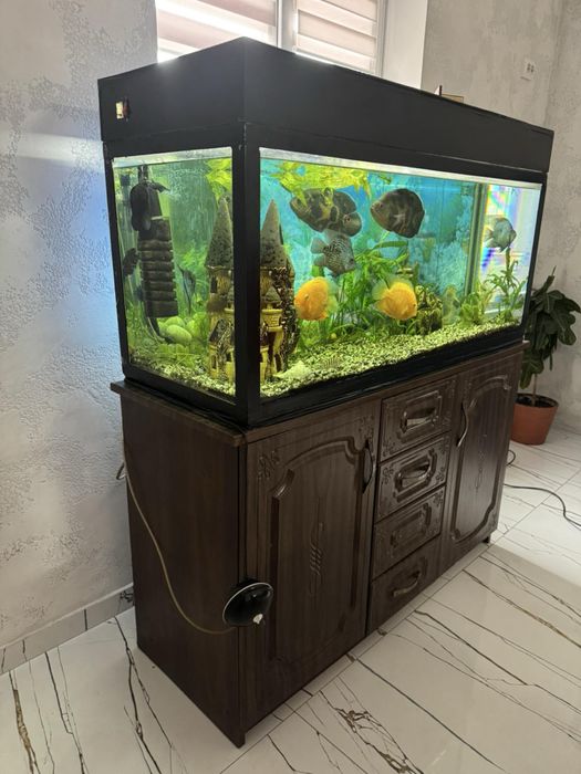 Акваріум ємністю 240л