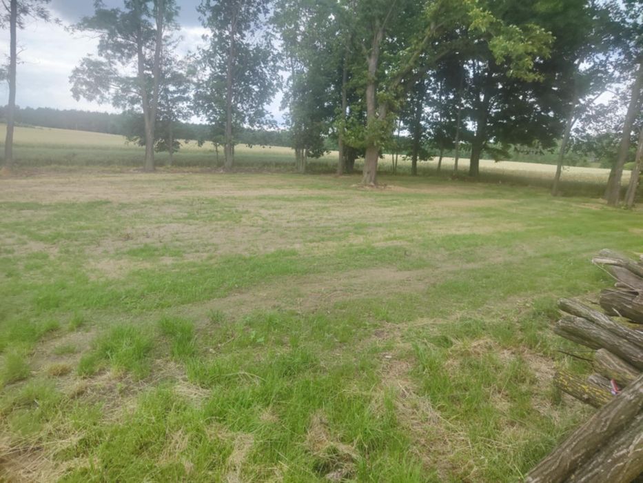 Działka nr 11 w miejscowości Koziołki. Gm Dmosin  2200m² piękna