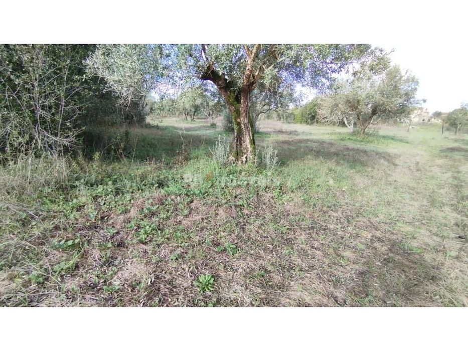Terreno misto com 3080 m2, em Delongo