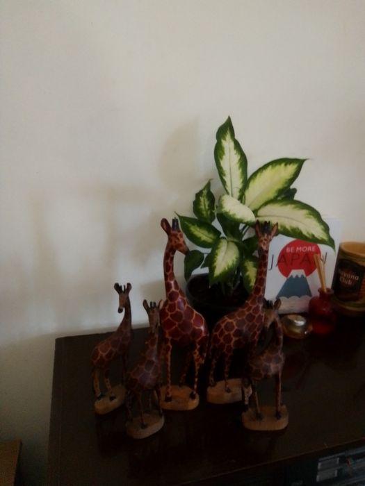 Girafas em madeira,novas, artesanato africano