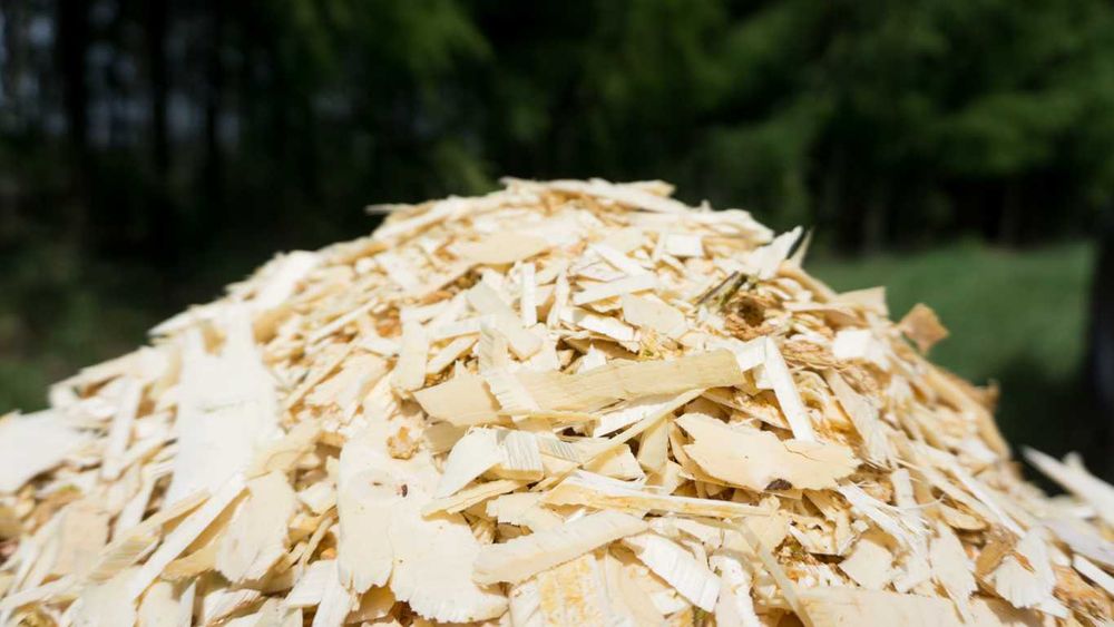 Rębak tarczowy RT-630R z hydrauliką darmowa dostawa