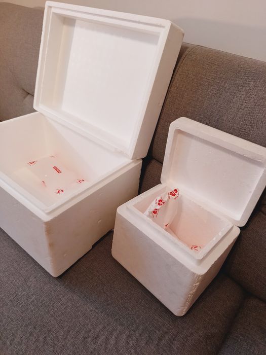 Pudełko styropianowe 30 litrów i 10 litrów, z wkładami chłodzącymi