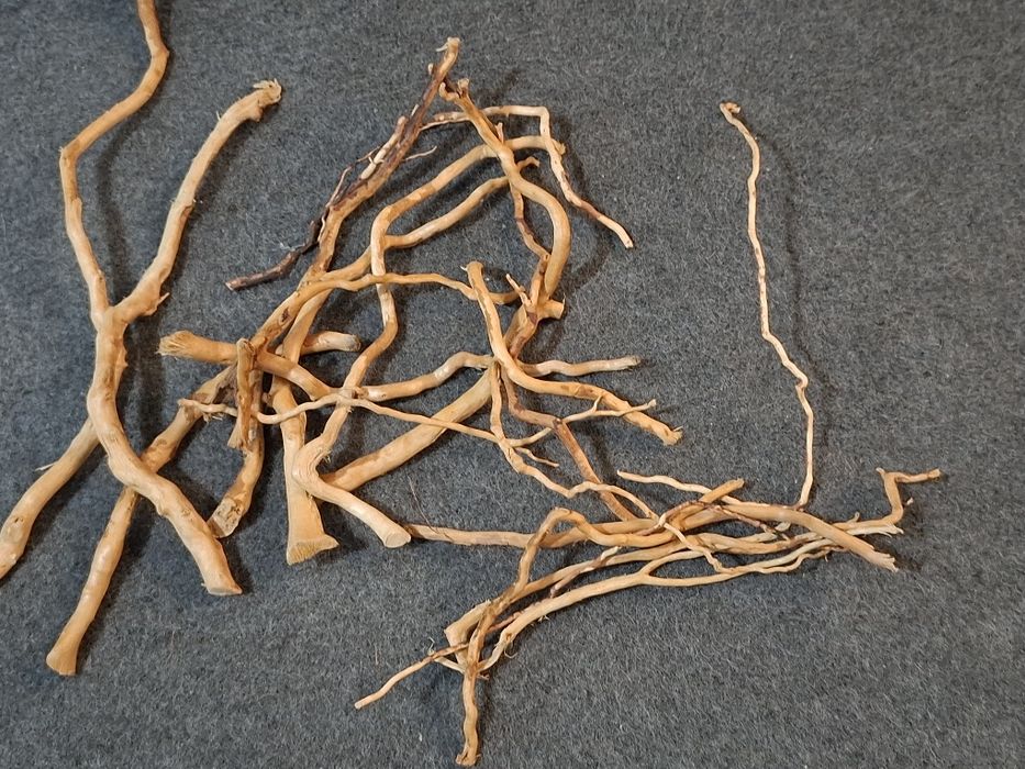 Tronco para aquário plantado - Novo 9 €