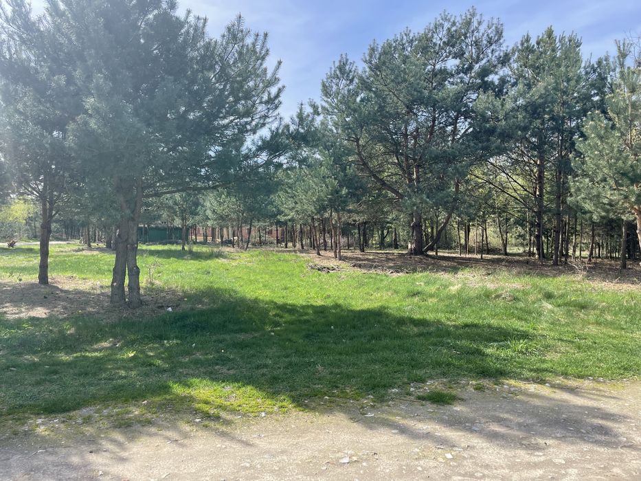 Działka budowlana 1080 m² Gawłów k. Sochaczewa | Spokojna okolica przy szkole - Widok 3