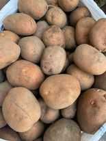 Картопля Беларосса велика,відбірна ,домашня-можлива пересилка поштою .