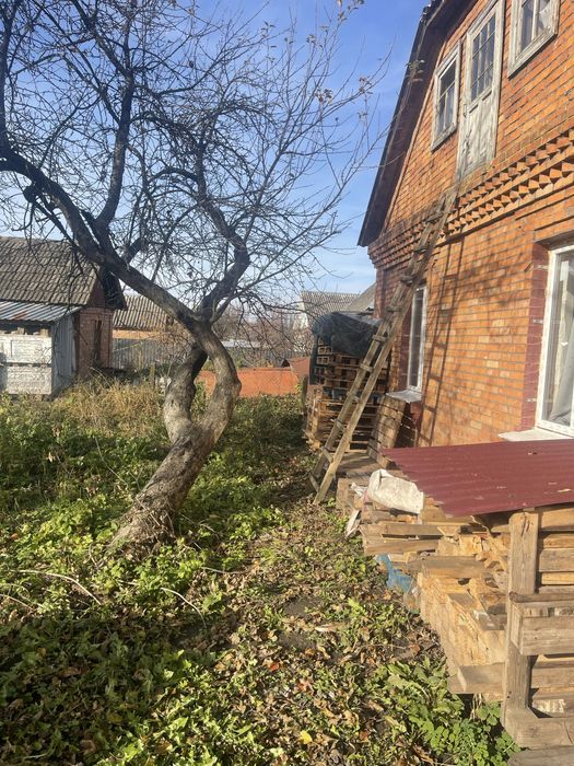 Здам будинок без комісіі