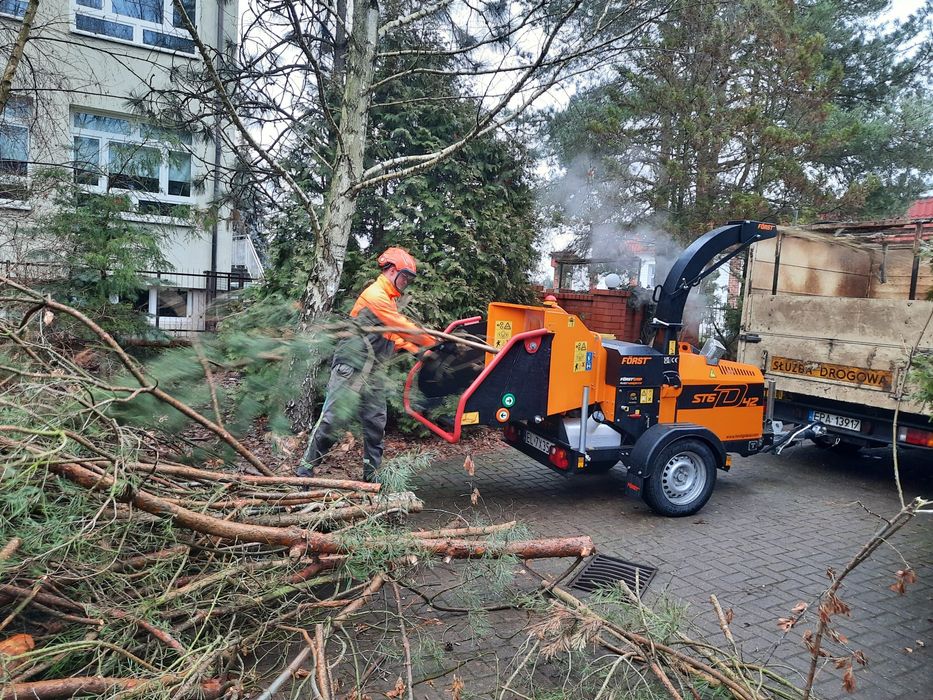 usługowe rozdrabnianie sprzątanie gałęzi po wycince drzew i krzewów