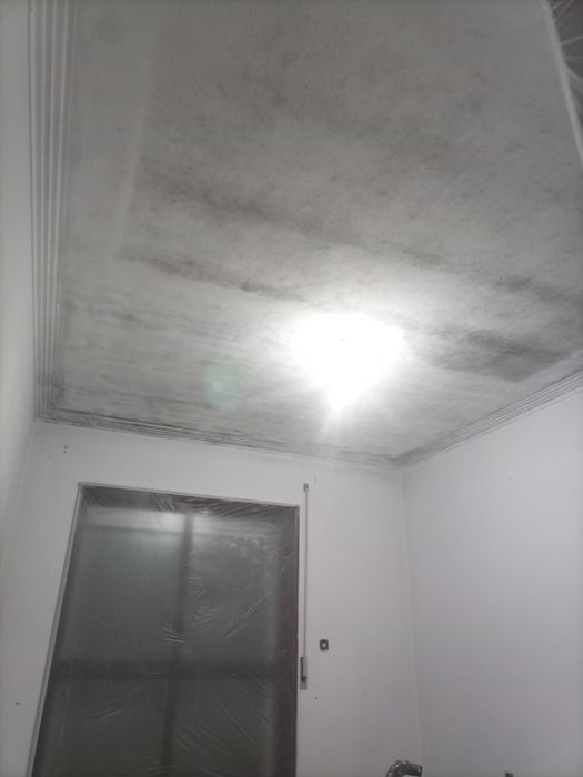 Pinturas & acabamentos