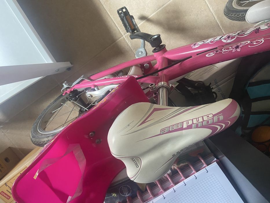 Bicicleta menina com rodinhas