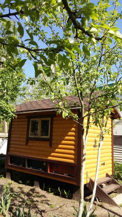 Продам    бджолосім'ї