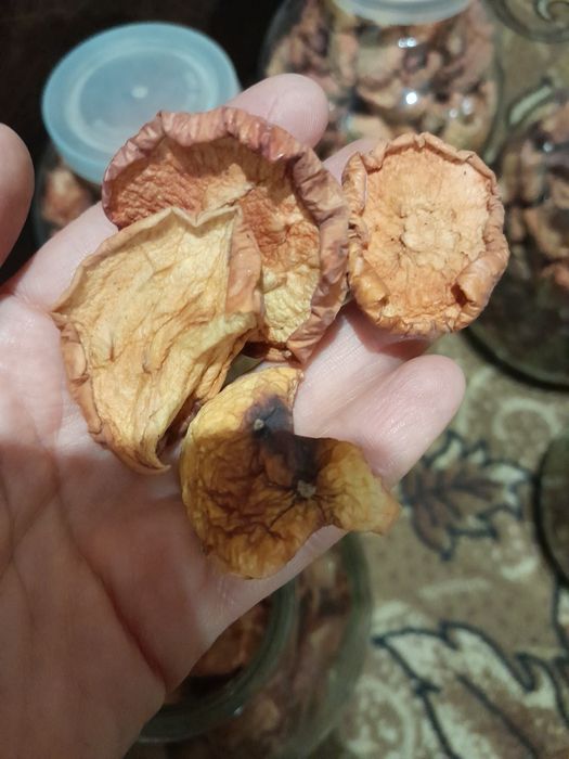 Сушка на компот  .