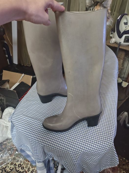 Гумові чобітки з малюнком