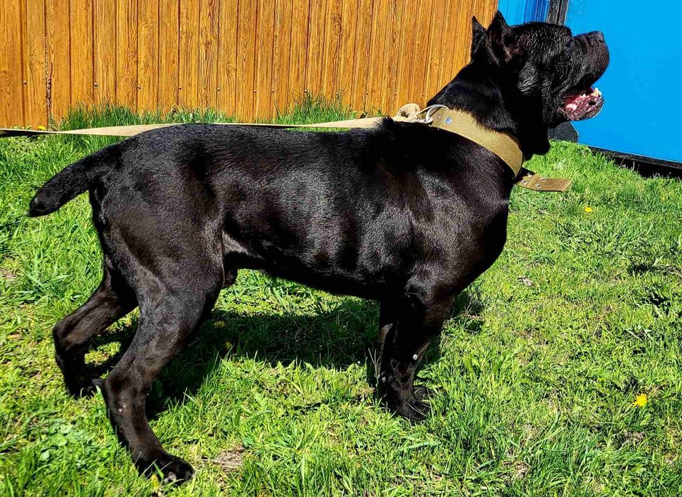 Хлопчик чекає зустрічі