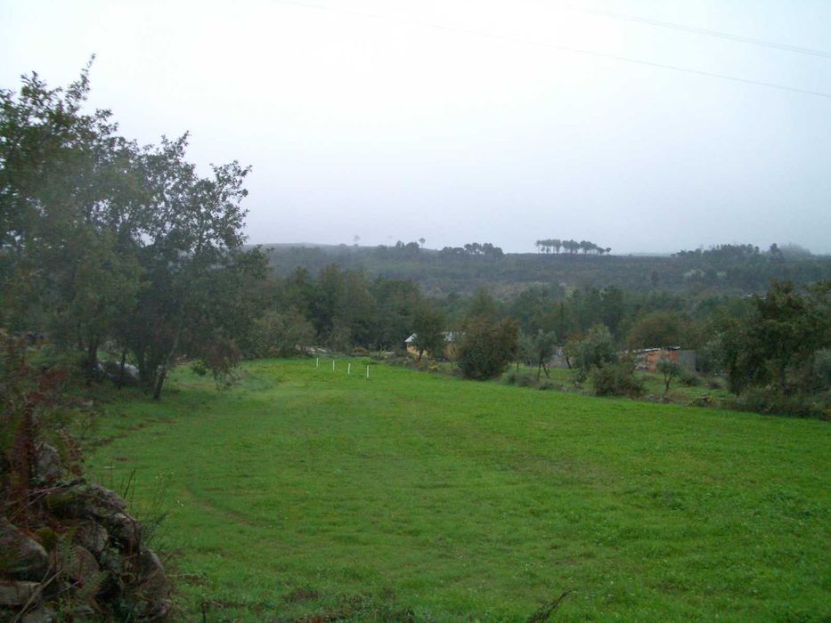 Quinta em Mangualde