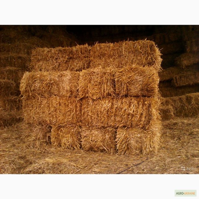 Продам тюки вівсяної та пшеничної соломи