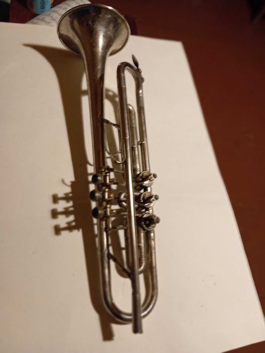 Труба музична робоча