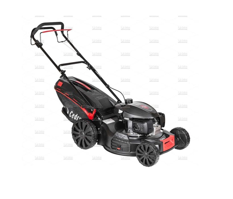 Kosiarka spalinowa Cedrus KS53H silnik Honda - Baras