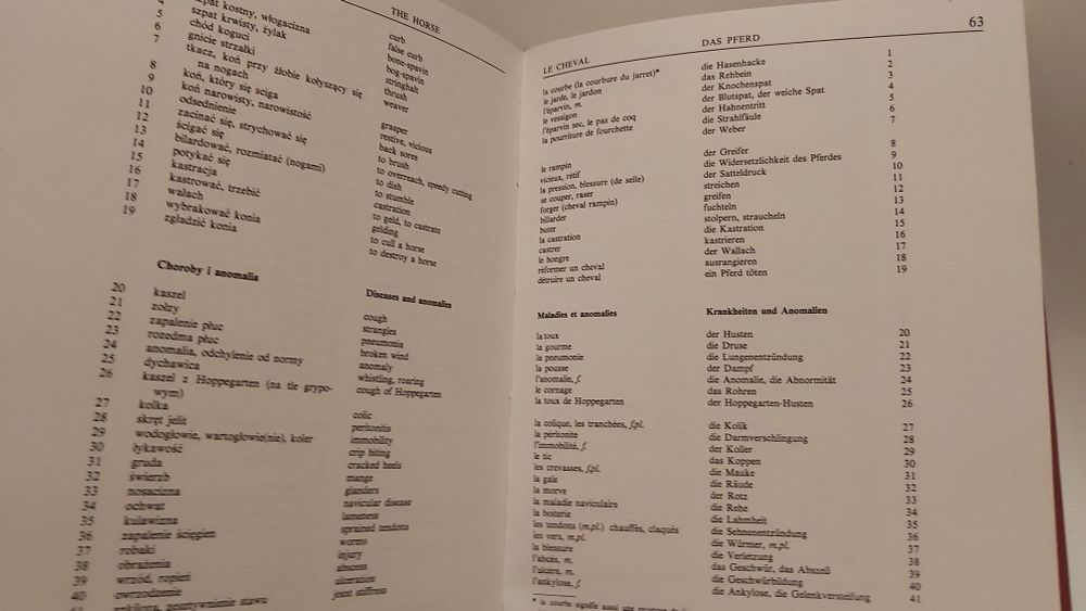 Koń i jeździectwo - książka SŁOWNIK hipologiczny Z. Baranowski