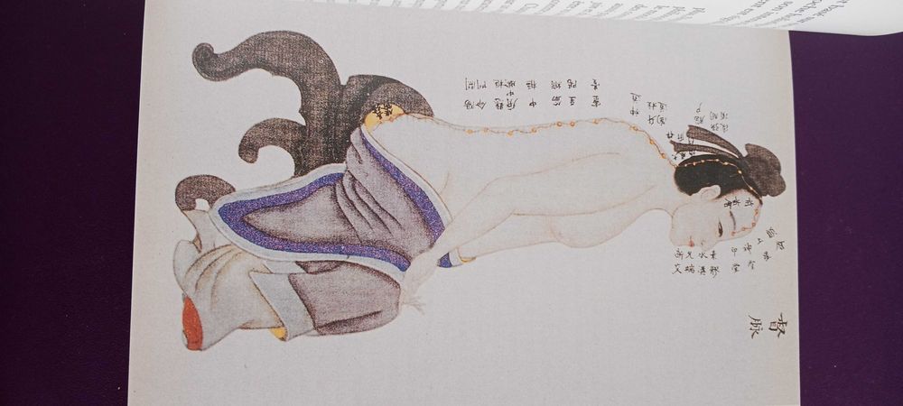 La Bible du Massage, Susan Mumford, 2009