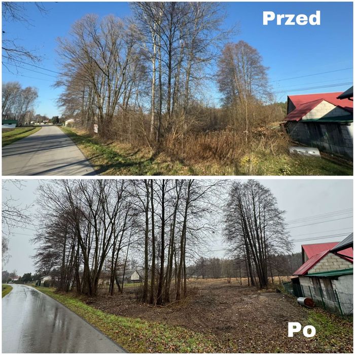 Mulczer Leśny Wycinka Rebak Rekultywacja