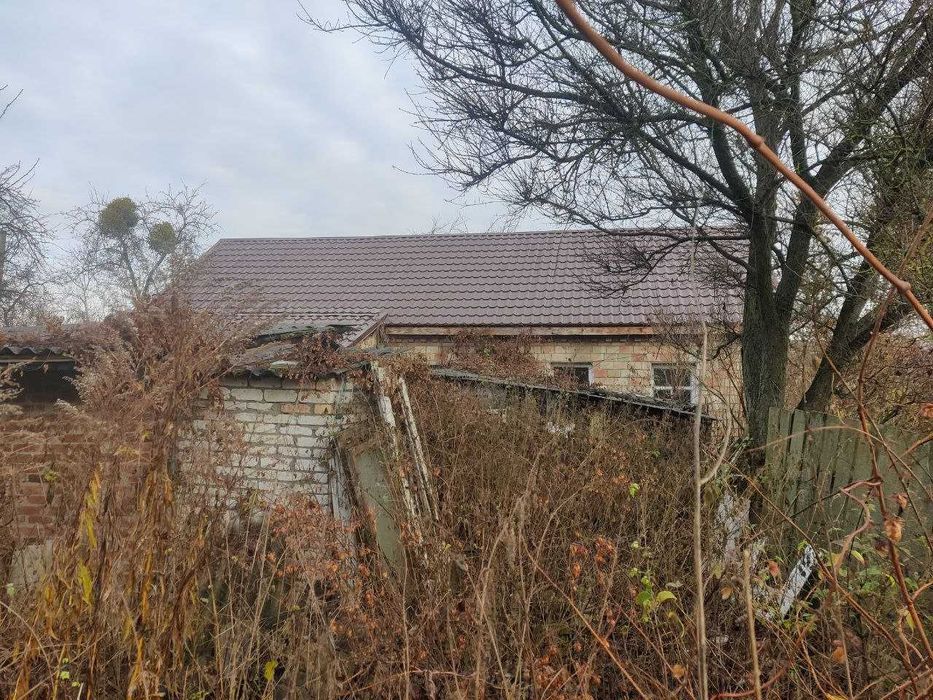 Будинок, с. Копилів, Макарівський р-н.