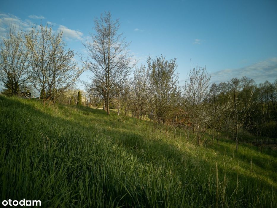 Działka budowlana w Krośnie Odrz. 1248m z warunkami zabudowy