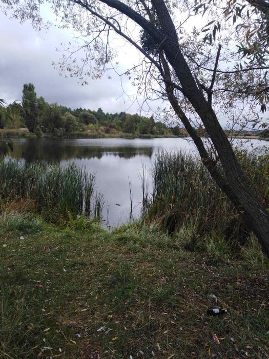 Продам будинок з великою ділянкою в с. Пилиповичі