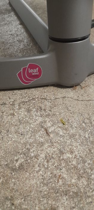 Espreguiçadeira giratória NOVO PREÇO