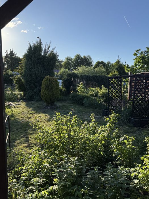 Działka rekreacyjna Rod Oaza - Widok 6